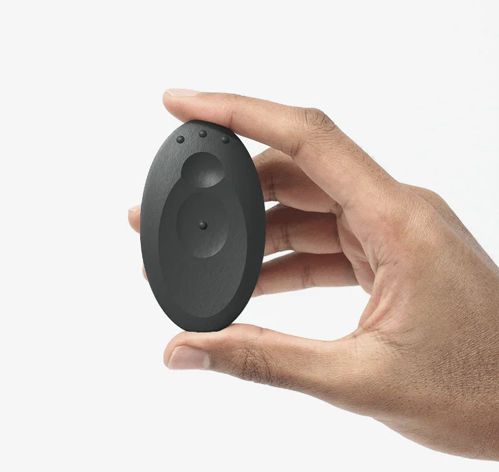 VO1CE Pebble — project image 1